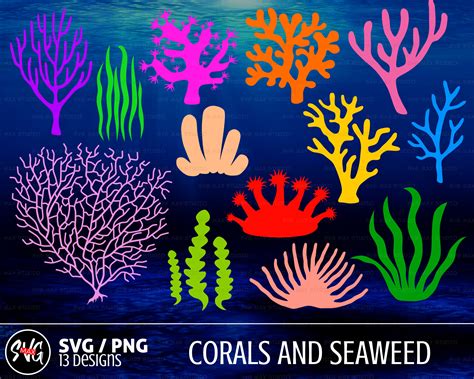 sea life svg Coral svg bundle seaweed svg ocean svg under the sea svg ...