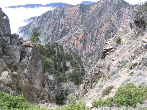 Travel - Big Sur :: Ventana Wilderness - Day 6 – Lone Pine to Ventana ...