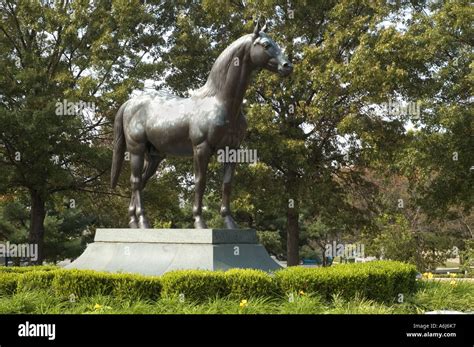 Race Horse Man O War High Resolution Stock Photography and Images - Alamy