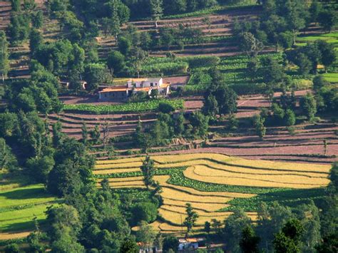 Inca Agriculture and Farming Methods