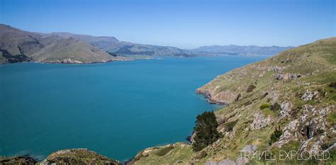 Hiking Godley Head - New Zealand - Travel Explored