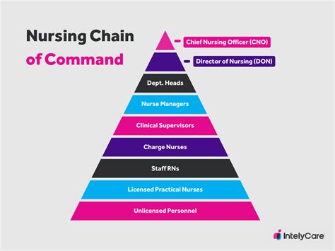 Is There a Chain of Command in Nursing? | IntelyCare