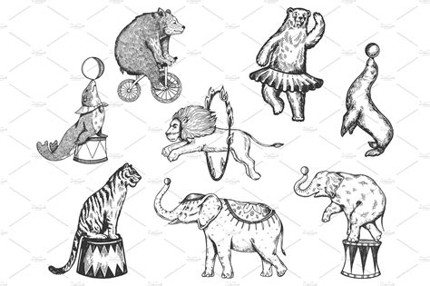 Retro circus animals performance set circus#animals#Retro #affiliate Circus Illustration, Cute ...