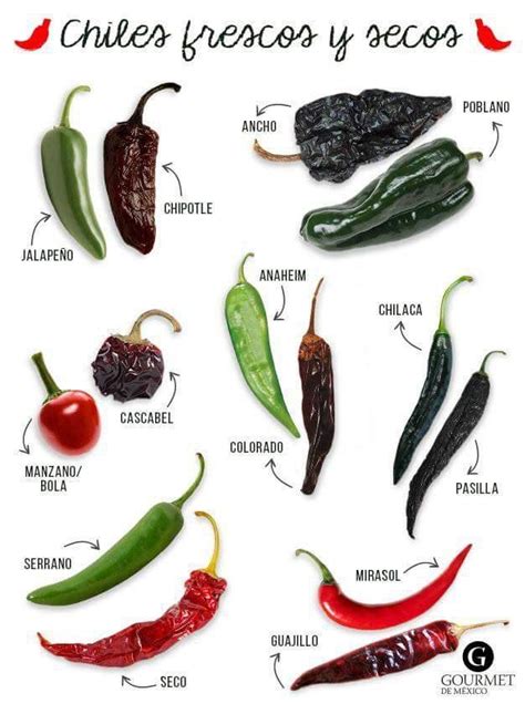 fresh and dried Mexican chillies guide : r/coolguides