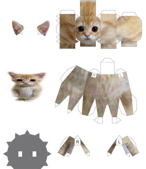 El Gato Cat Tiktok Plantilla para imprimir | Paper doll template, Cat template, Art reference poses