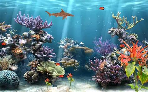Aquarium Wallpaper - Aquariums Wallpaper (40193619) - Fanpop