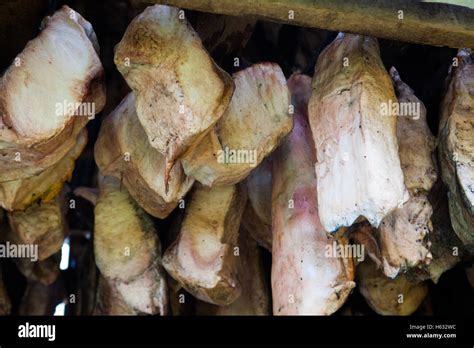 Hakarl, rotten shark meat, Iceland Stock Photo - Alamy