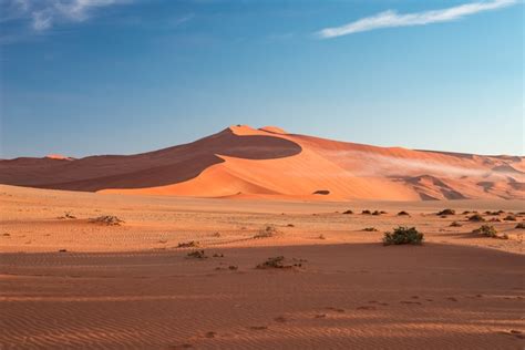 Premium Photo | Sand dunes in the namib desert at dawn, roadtrip in the ...