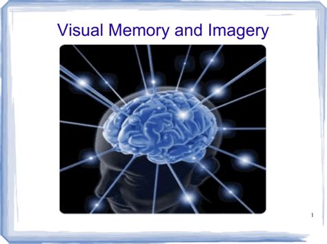 Visual Memory and Imagery