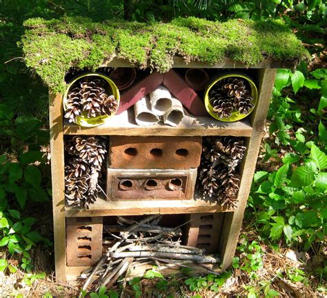 insect house - bricks with holes - pine cones - mossy roof | Insect hotel, Bug hotel, Sensory garden