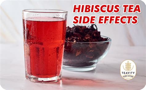 Hibiscus Tea Side Effects