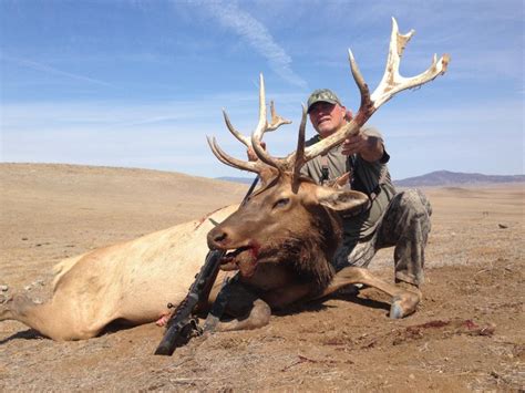 California Tule Elk Hunting