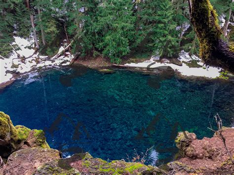 Oregon Blue Pools Tamolich Blue Pool Tamolich Falls the - Etsy