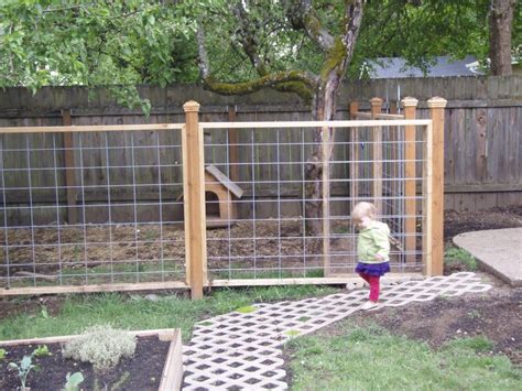 Cheap Easy Dog Fence With 3 Popular Dog Fence Options