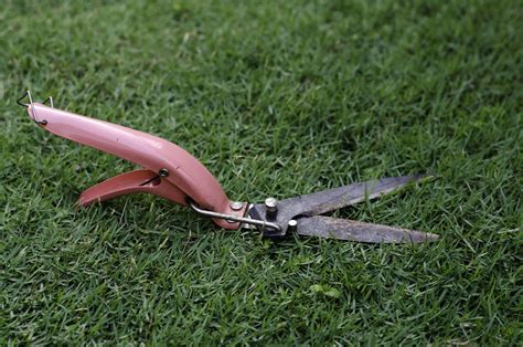 Cutting Grass Scissors · Free photo on Pixabay