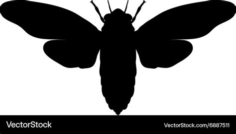 Silhouette cicada cicadidae sketch Royalty Free Vector Image