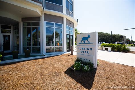 Local Insider Review of Surfing Deer in Seagrove Beach, FL