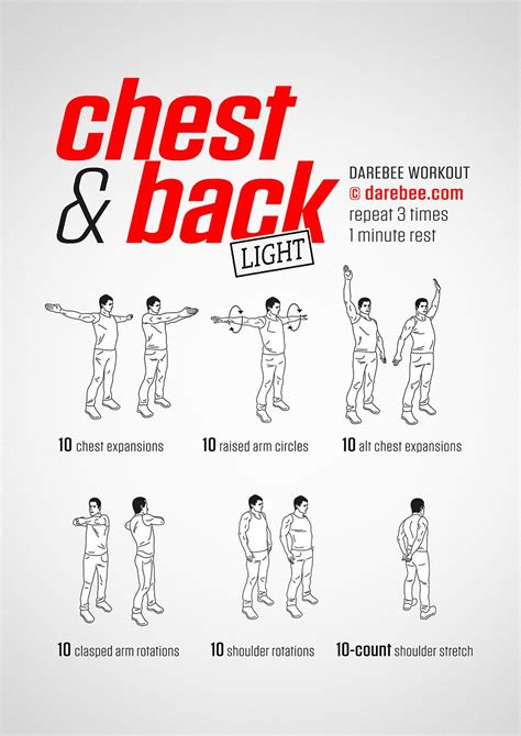 Arms Chest And Back Exercises