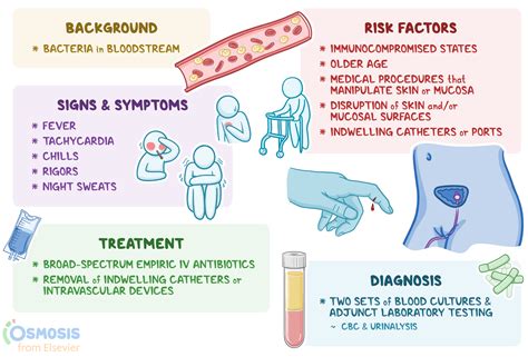 Bacteremia: What It Is, Causes, Signs and Symptoms, Treatment, and More | Osmosis