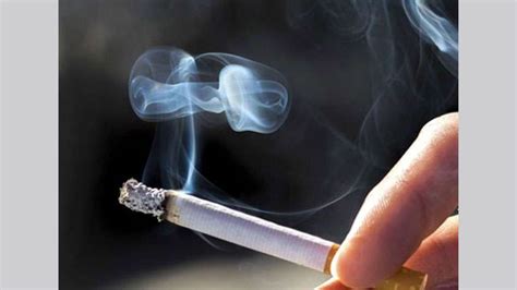 World Heart Day 2022: What Are The Effects Of Smoking On Your Heart Health