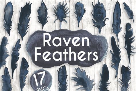 Watercolour Black Raven Feathers | Texture Illustrations ~ Creative Market