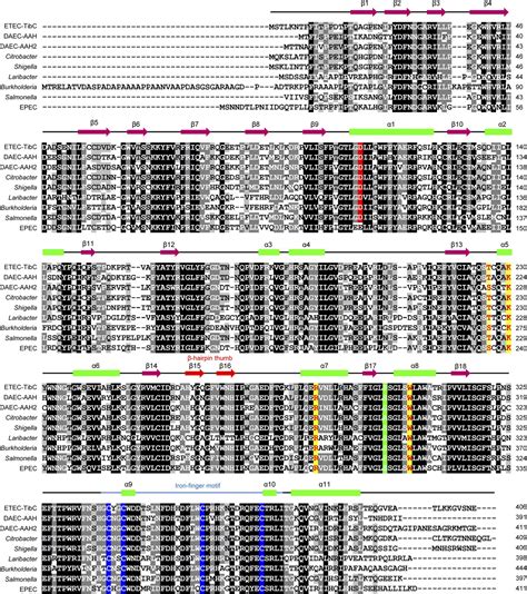 Figures and data in A structural mechanism for bacterial autotransporter glycosylation by a ...