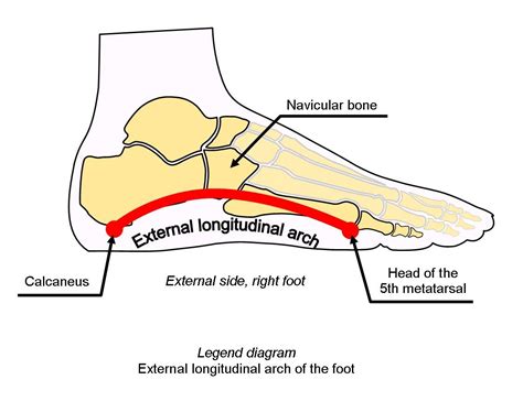 VALTAG Insoles with arch support