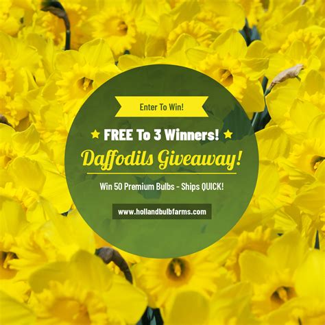 Free Holland Bulb Farms Giveaway | No Order Necessary | Sign Up ...