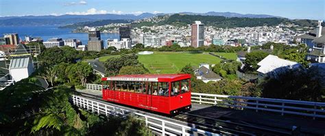 Wellington Travel Guide (Updated 2024)