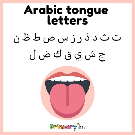 Tongue letters in Arabic - Primary Ilm