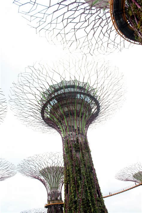 Singapore Giant Tree Gardens By Bay Free Stock Photo - Public Domain Pictures