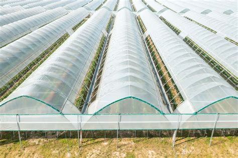 How to Maximize Profit in Greenhouse Farming: Take an Advantage of ...