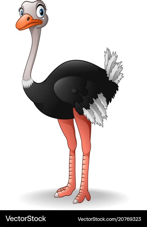 Cute ostrich cartoon Royalty Free Vector Image