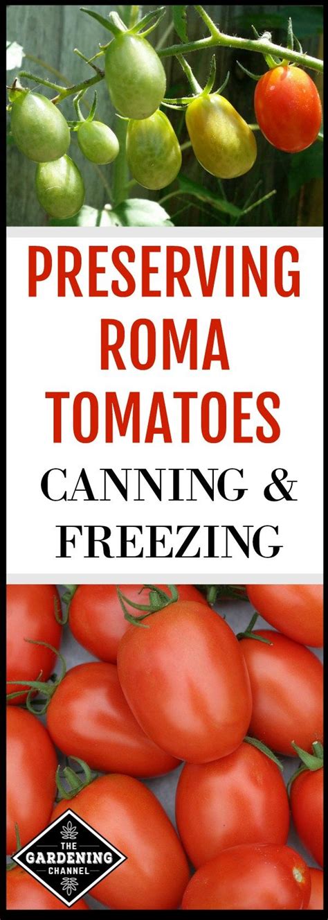 Preserving Roma Tomatoes: Canning and Freezing Guide | Canning tomatoes, Canning diced tomatoes ...