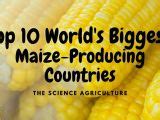 15 World’s Biggest Entertainment Companies - The Science Agriculture