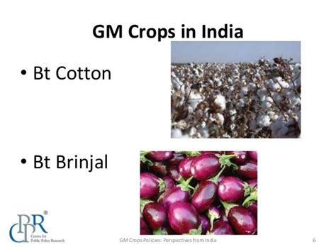 GM Crops Policies: Perspectives from India