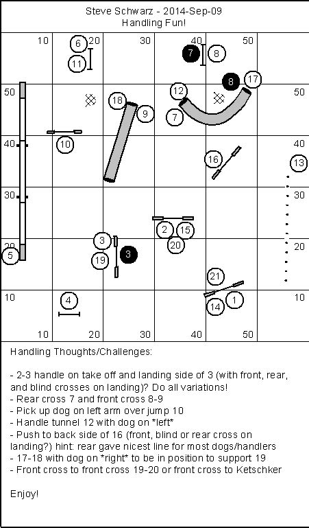 AgilityNerd Dog Agility Blog : Masters/Advanced Handling Fun! | Dog agility, Agile, Agility ...