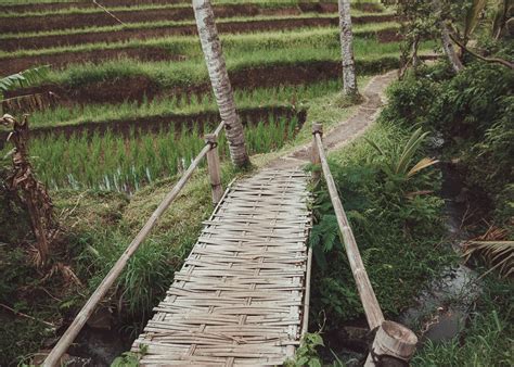 The Breathtaking Jatiluwih Rice Terraces - A Complete Guide