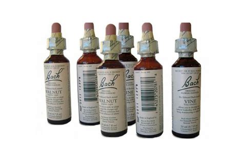 Bach Flower Remedies | B Renewed Wellness Solutions | Charleston, SC