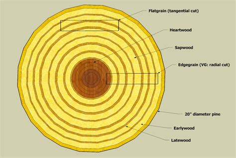 Understanding Moisture Content and Wood Movement | THISisCarpentry