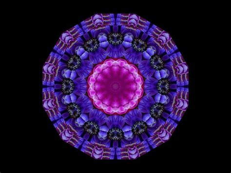 Anemone kaleidoscope mandala optical art by Sequin World | Optical art, Mandala, Art