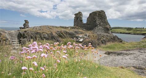 The Bloody History of the Black Castle | Wicklow Town