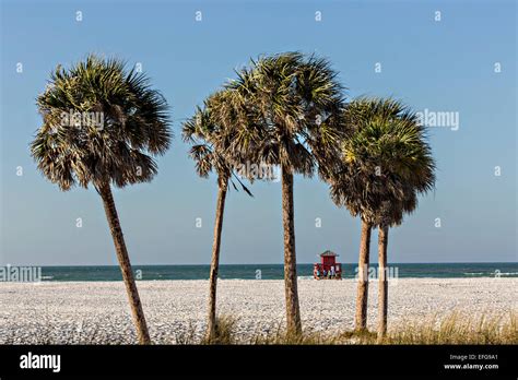Siesta Key beach Sarasota, Florida Stock Photo - Alamy