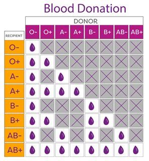 Easy-Peasy Blood Type Chart | Vitalant