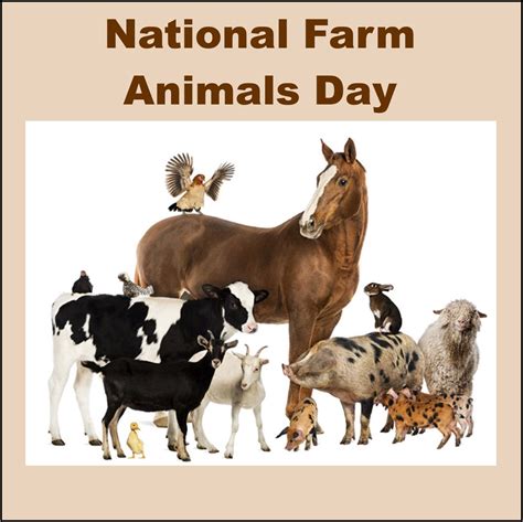 Happy National Farm Animals Day from Sofi & Friends ♥ Each year on April 10th, National Farm ...