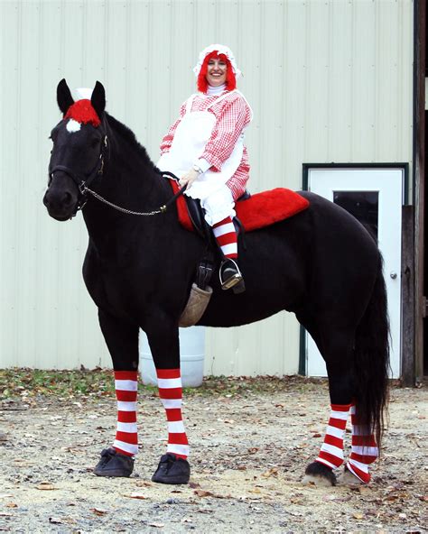 Halloween horse costume Horse Halloween Ideas, Horse Halloween Costumes, Horse Fancy Dress ...