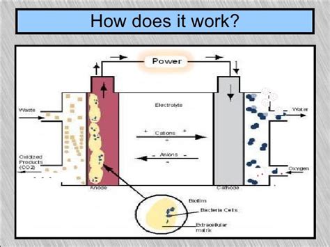 microbial fuel cell