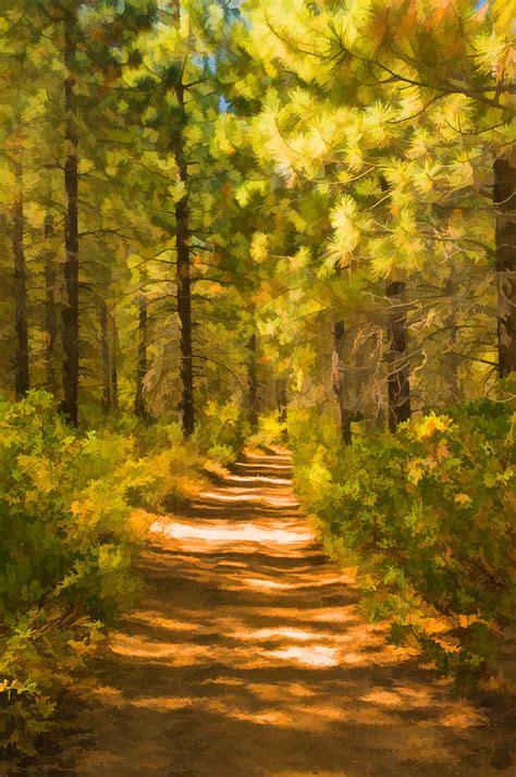 Trail Through The Woods Digital Art by Mick Burkey