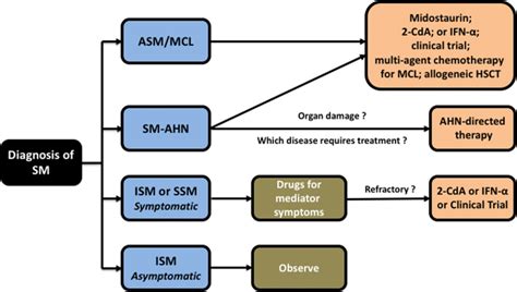 Current treatment approaches for systemic mastocytosis. Treatment ...