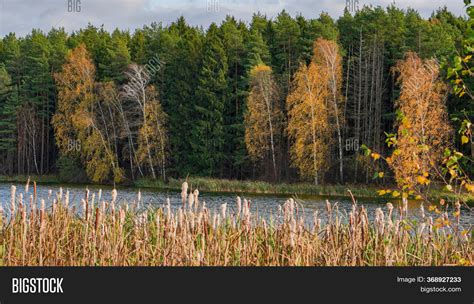 Yoro Valley Promenade Image & Photo (Free Trial) | Bigstock